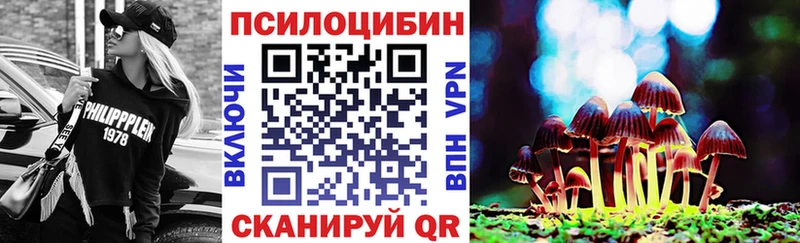 цена   Нытва  Галлюциногенные грибы MAGIC MUSHROOMS 
